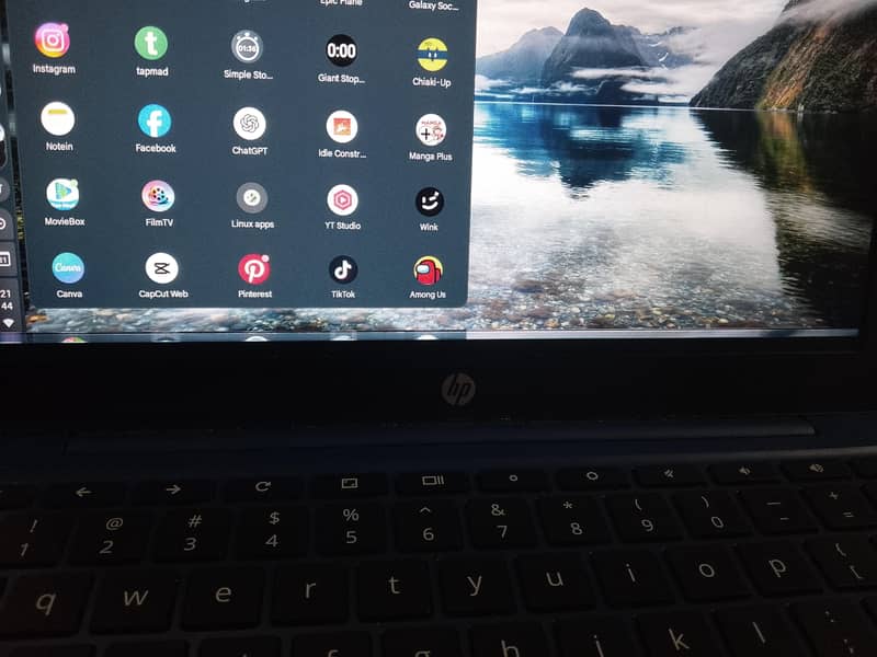 hp chrome book 5