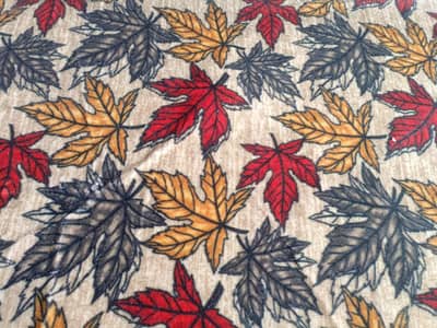 Carpet 12x25