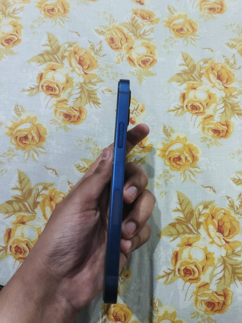 Apple iPhone 12 2