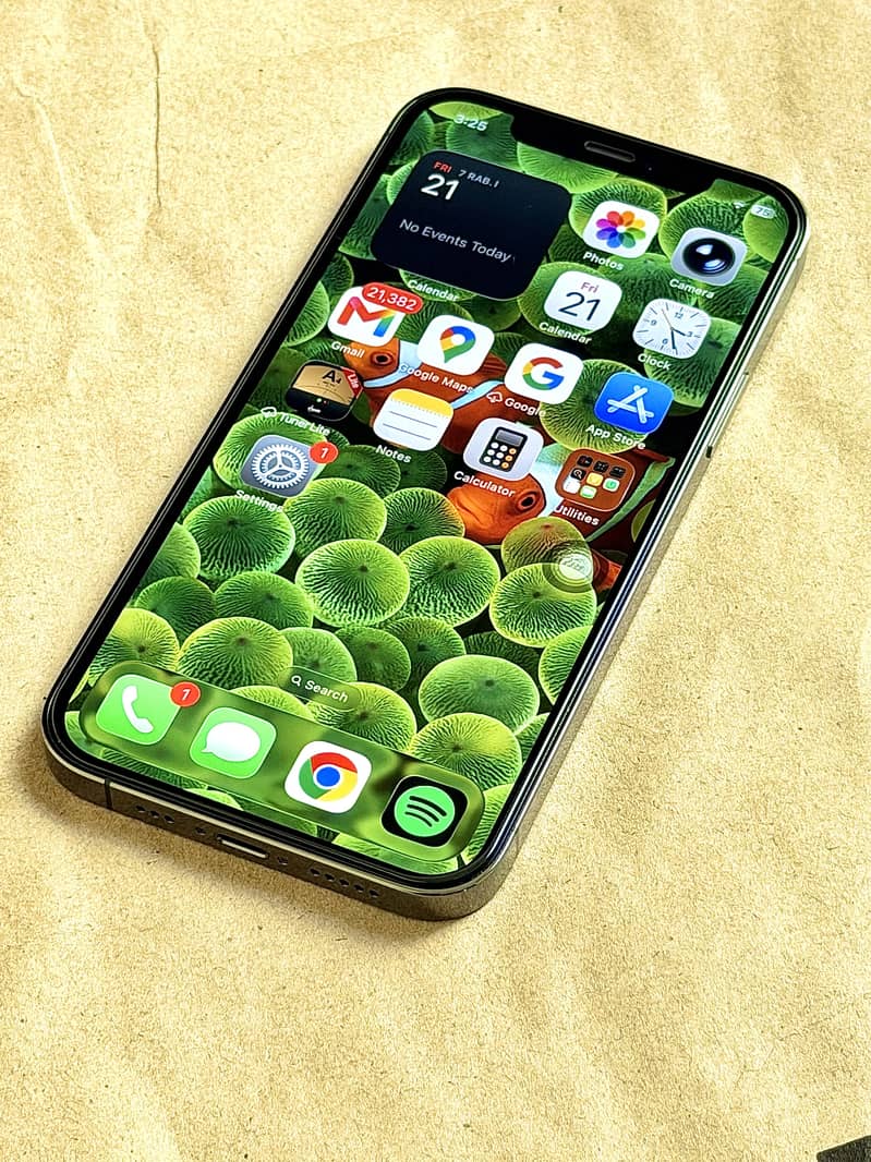 Apple iPhone 12 Pro 12