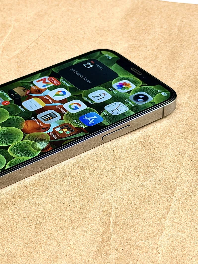 Apple iPhone 12 Pro 13