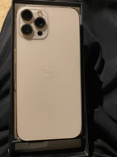 Apple iPhone 12 Pro Max