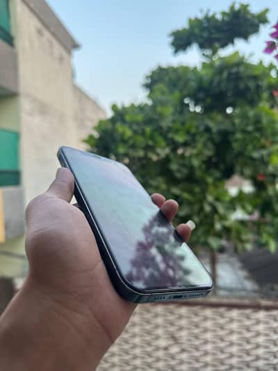 Apple iPhone 12 Pro Max
