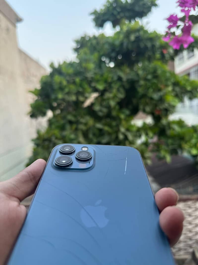 Apple iPhone 12 Pro Max 1