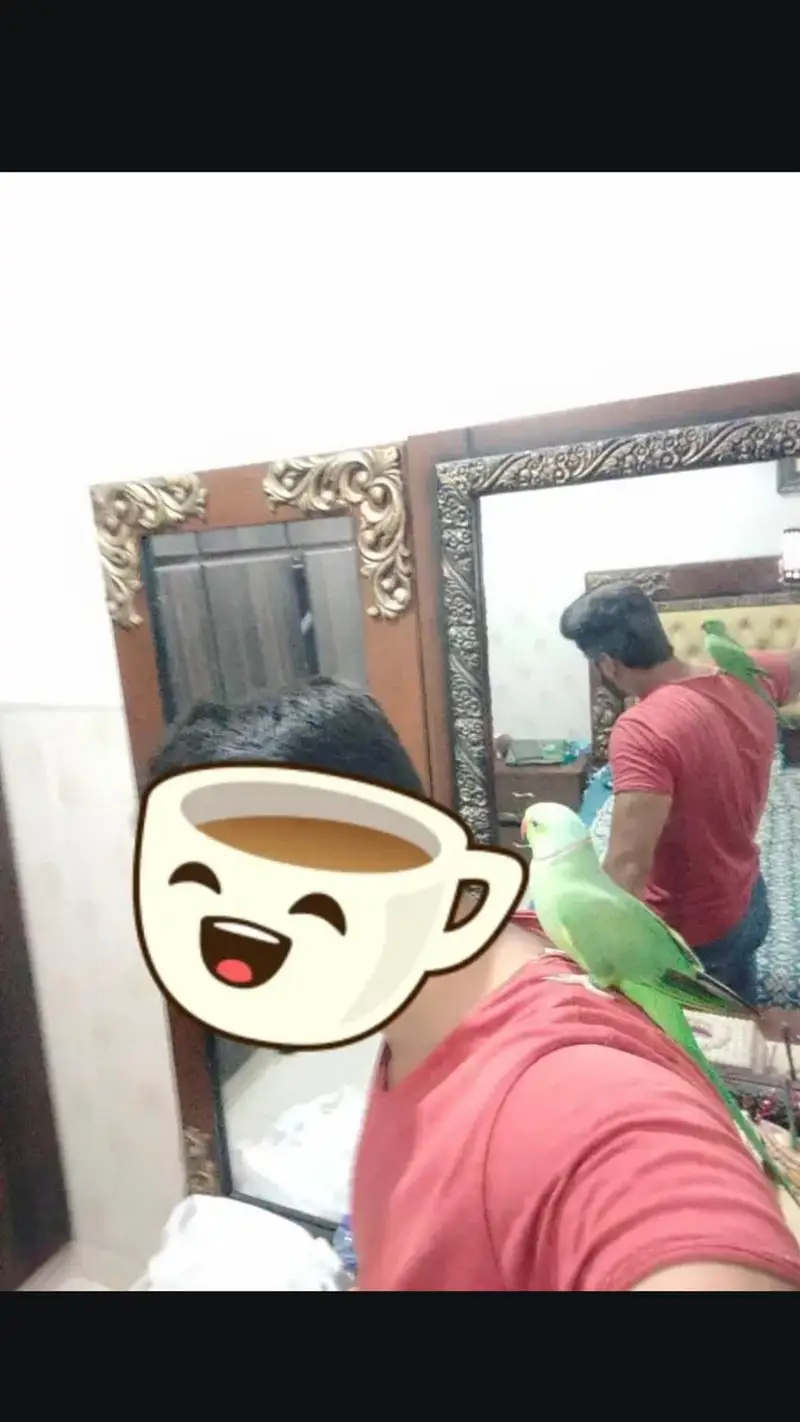 Face to face talking karta ha handtaim ha healty and active ha — photo 4