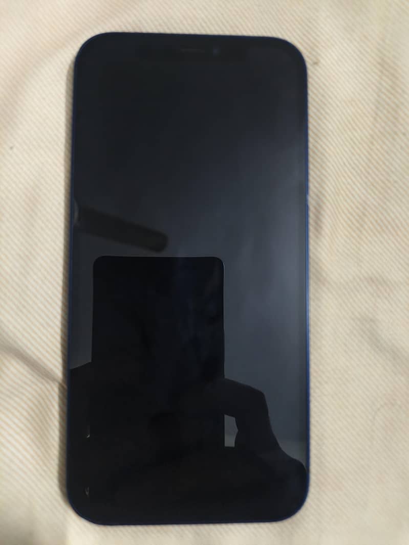 Apple iPhone 12 1