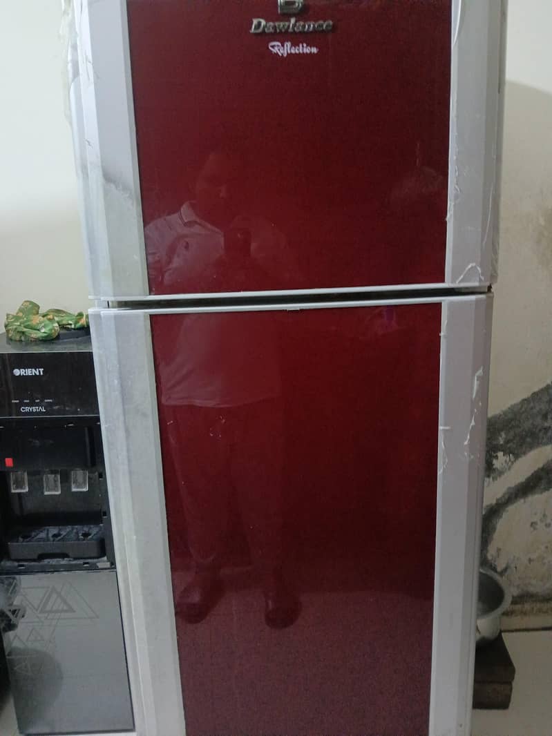 Frige 1
