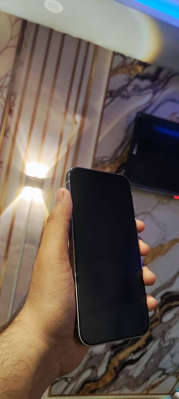 Apple iPhone 13 Pro Max 2