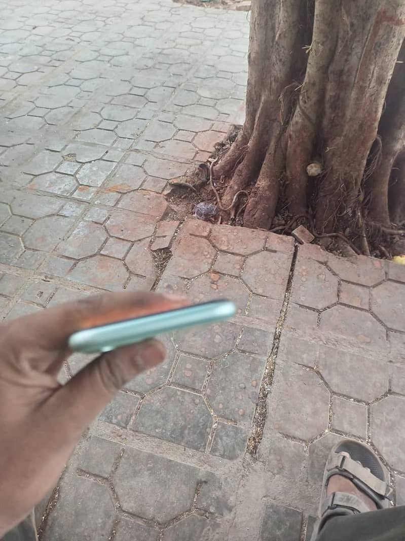 Apple iPhone 11 5