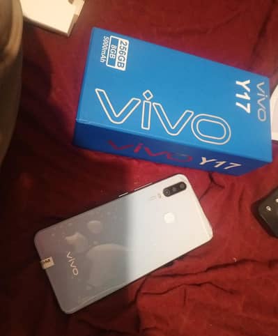 Vivo Y17