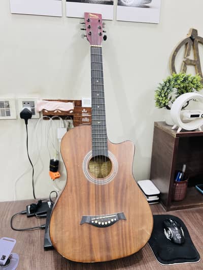 Guitar