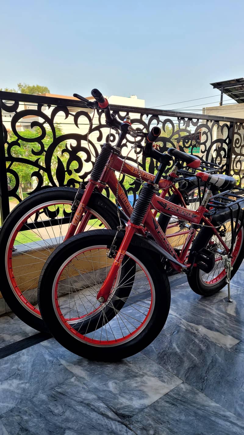 Two Bicycles  mint condition 0