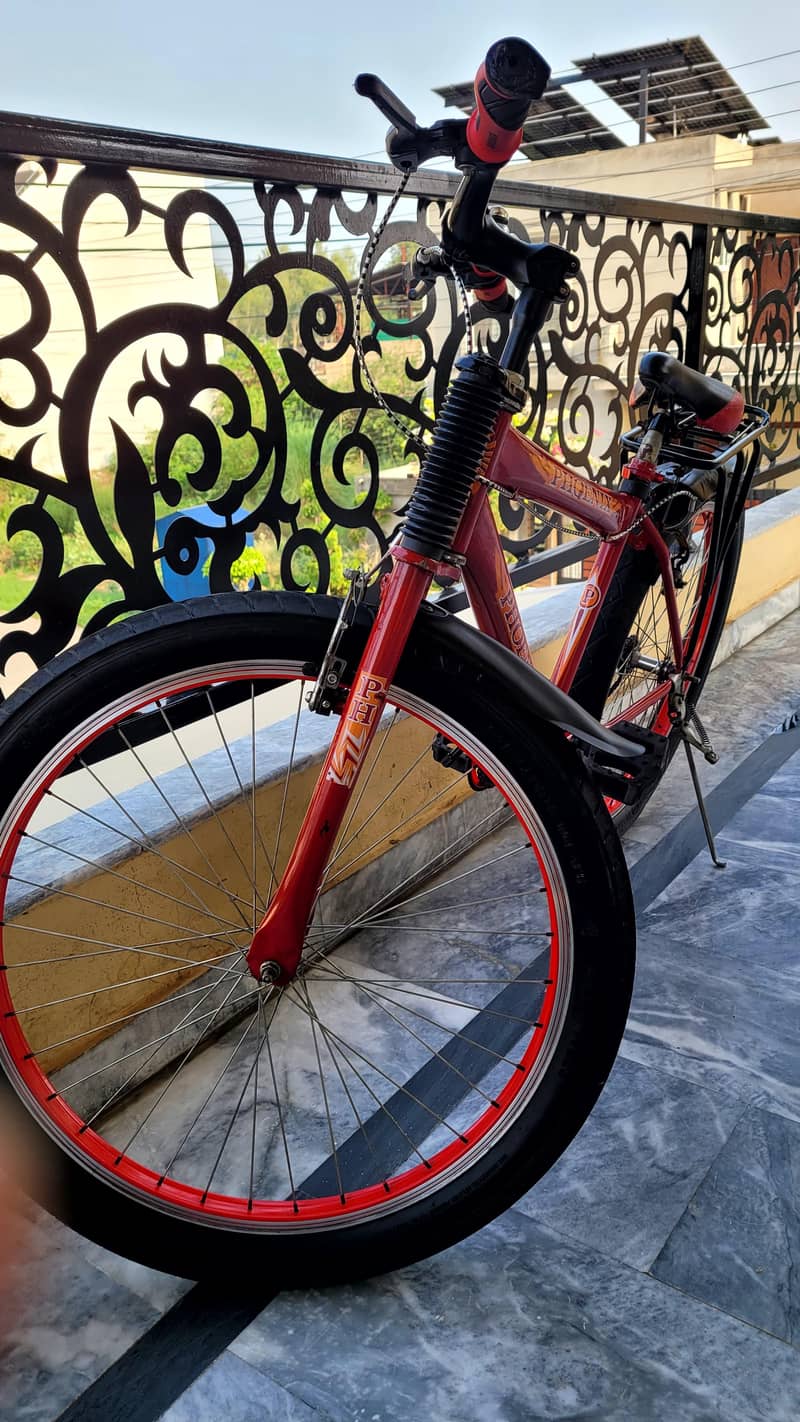 Two Bicycles  mint condition 1