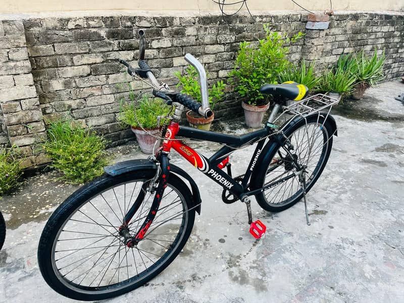 bicycle 6