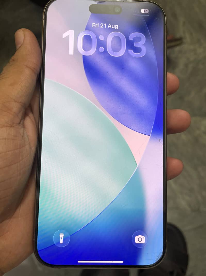 Apple iPhone 16 Pro Max 2