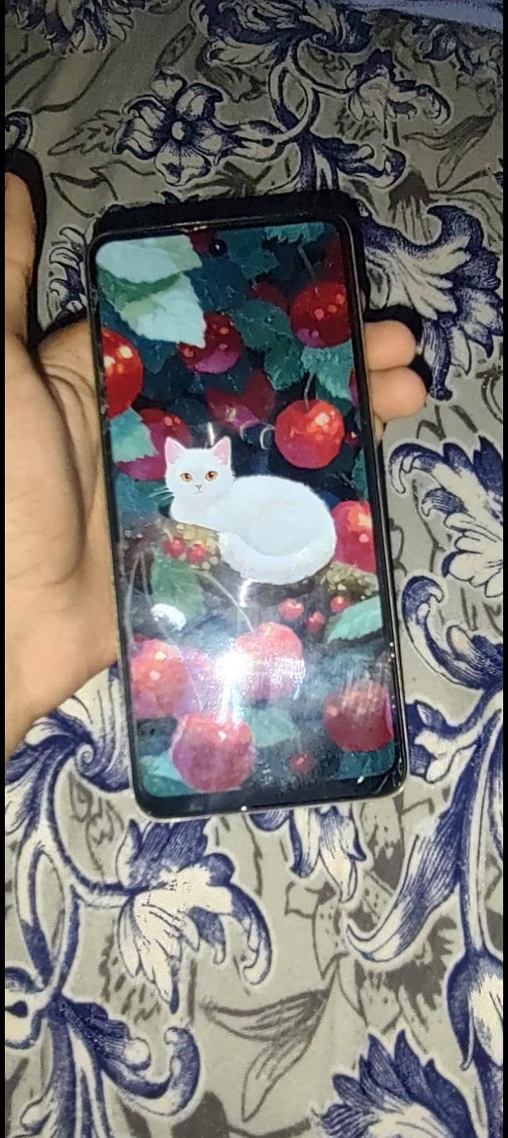 Tecno Spark 20C 5