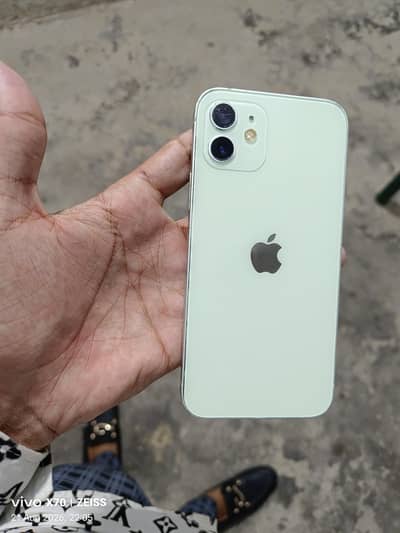 Apple iPhone 12