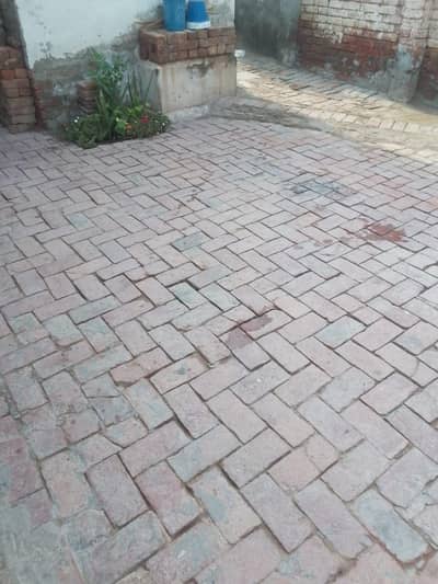 ghr ki pali hui murghian hn
