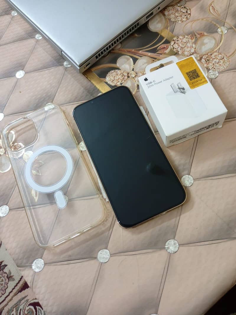 Apple iPhone 13 Pro Max 0