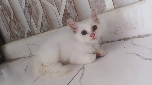 for sale