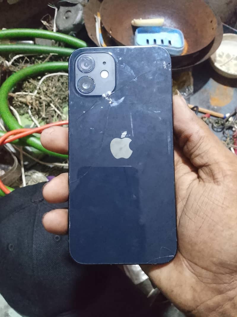 Apple iPhone 12 1