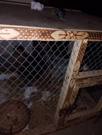 pinjra with 3 chicks