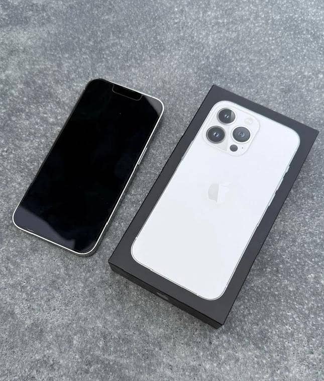Apple iPhone 13 Pro Max 1