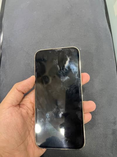 Apple iPhone 13 Pro