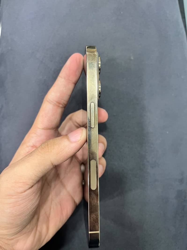 Apple iPhone 13 Pro 1