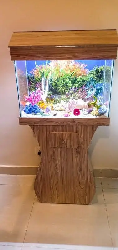 fish and aquarium wholesale price 03268301979 — photo 8