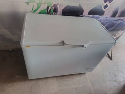 Deep freezer single door full size for sale. (Inverter]