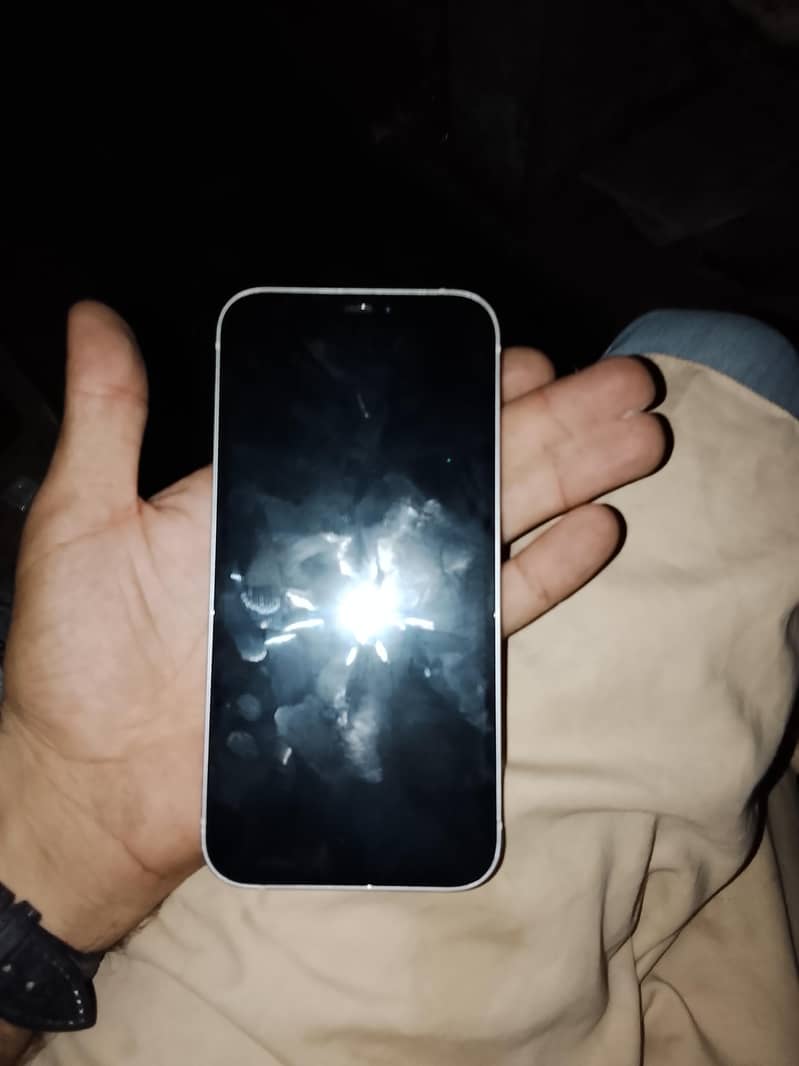 Apple iPhone 12 1