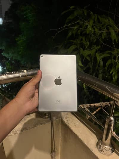 iPad Mini 5 (64GB) – With Box & Original Adapter | Glass Changed