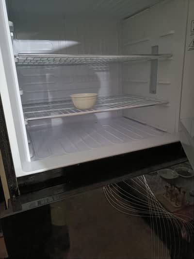 Kenwood refrigerater