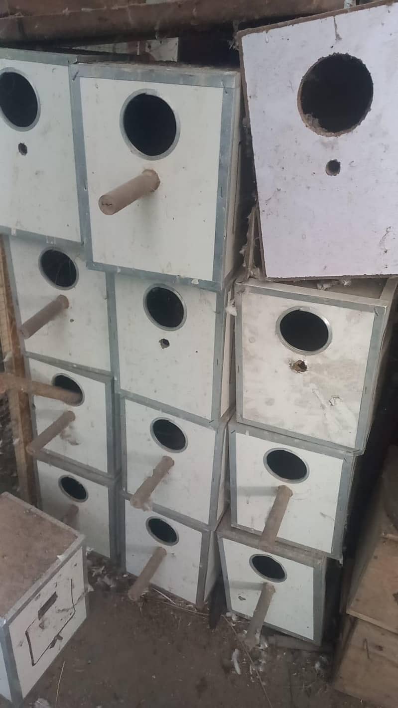 Playi Breeding Boxes Java 0