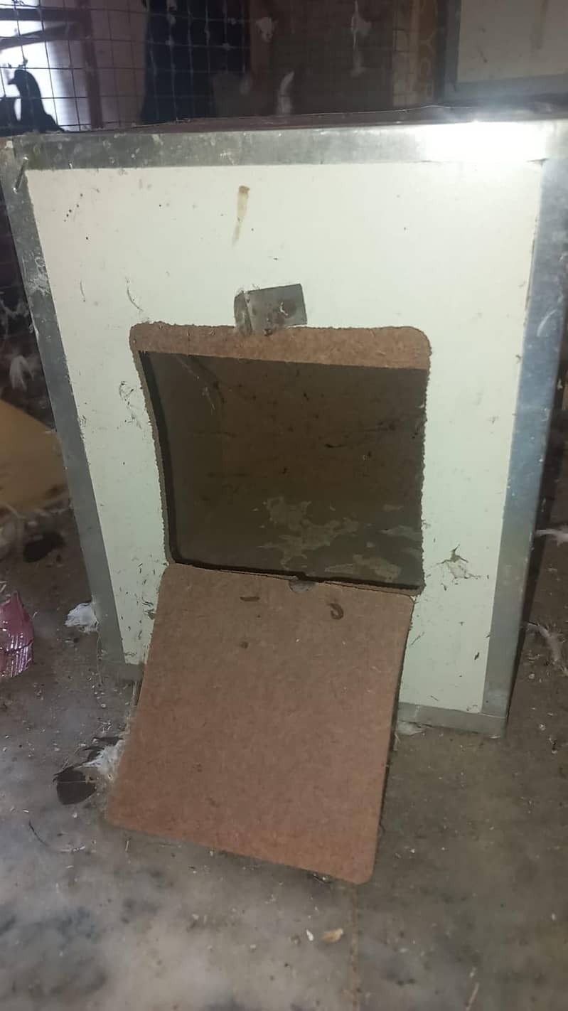 Playi Breeding Boxes Java 1