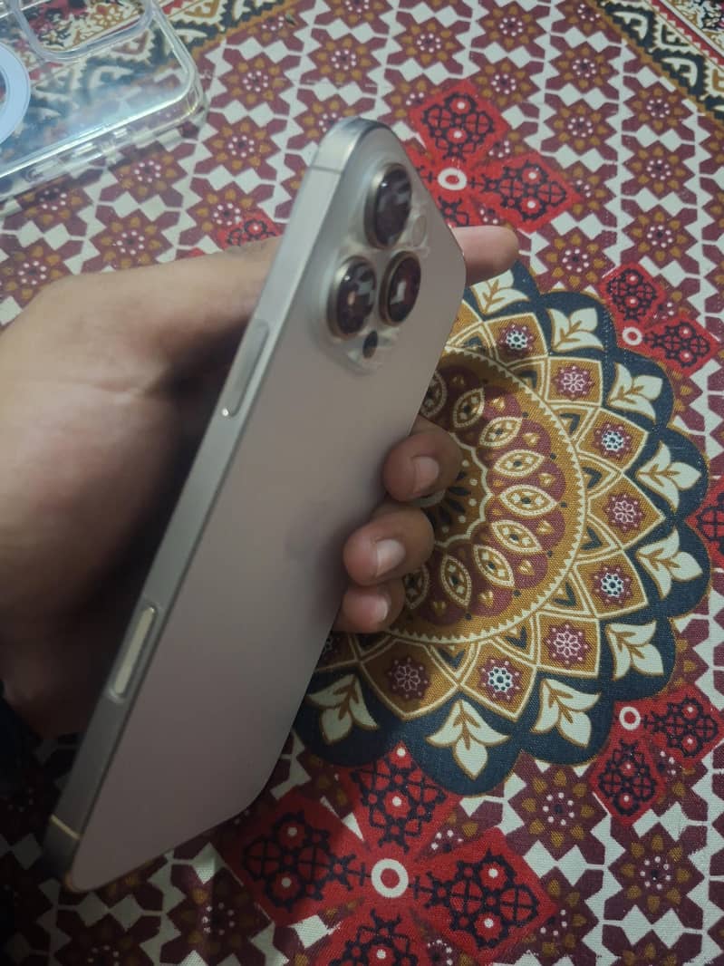 Apple iPhone 16 Pro Max 1