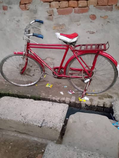 Cycle 03002048206
