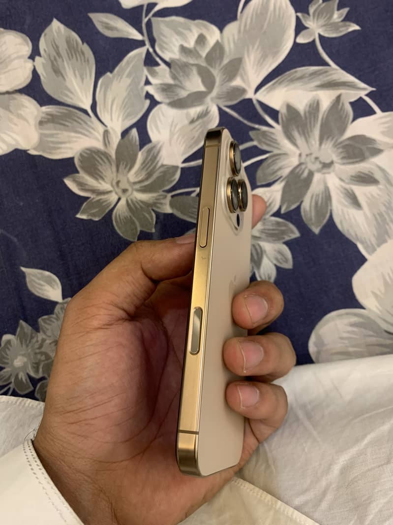 Apple iPhone 16 Pro 1