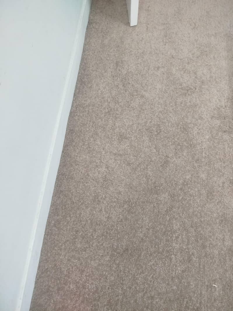 Room Carpets 1
