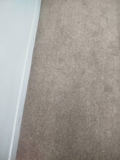 Room Carpet
