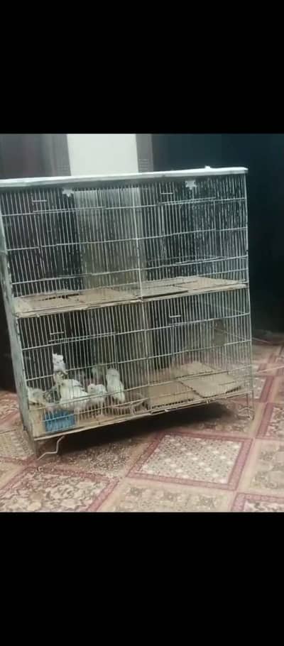 cage for sale