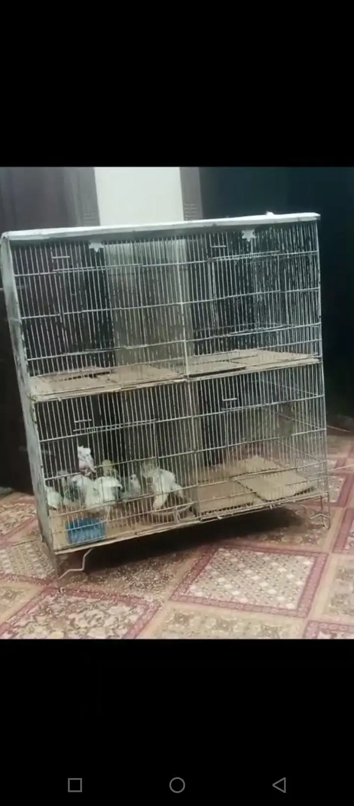 cage for sale — photo 2