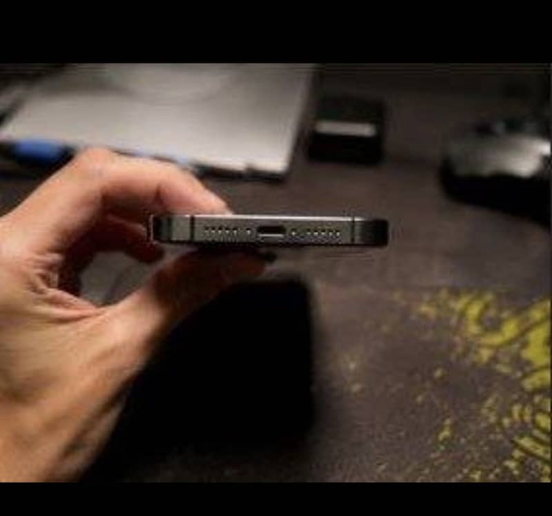 Apple iPhone 13 Pro Max 1
