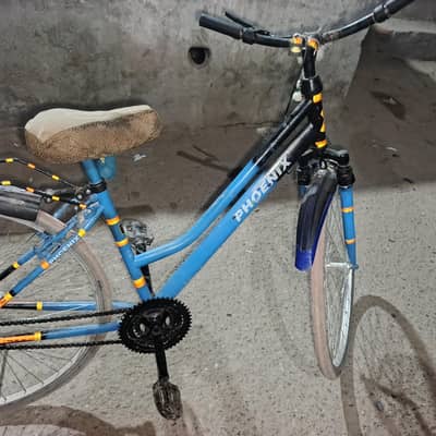 Phoenix cycle