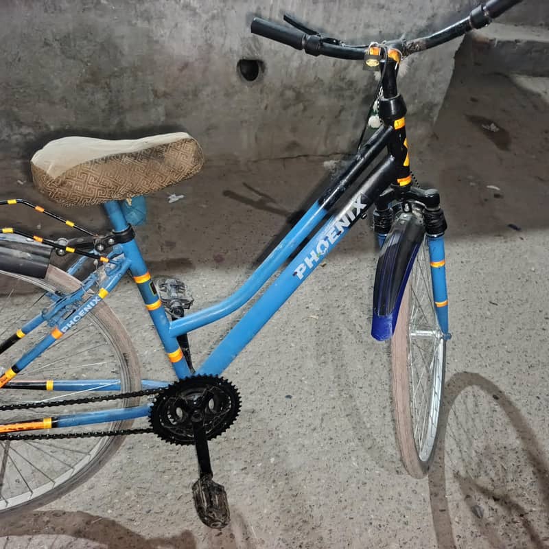 Phoenix cycle 0