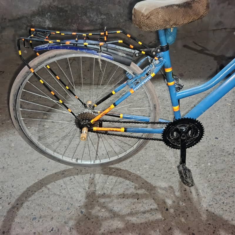 Phoenix cycle 1