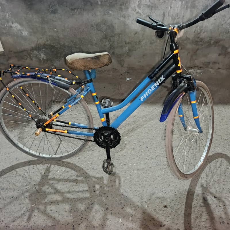 Phoenix cycle 2