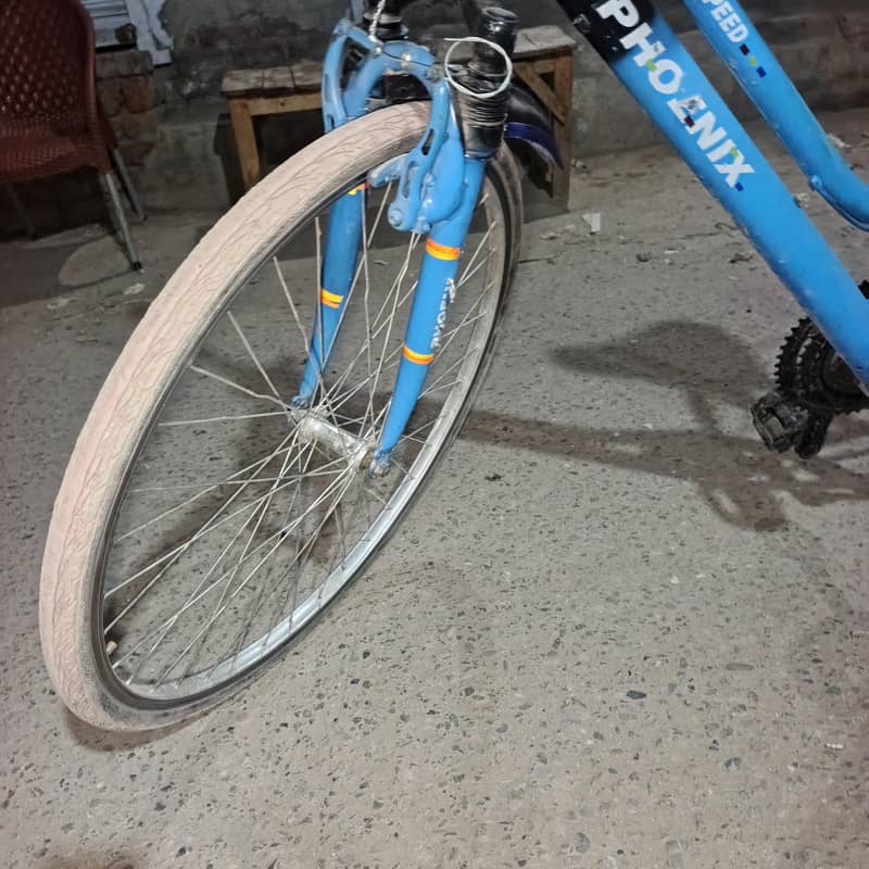 Phoenix cycle 4
