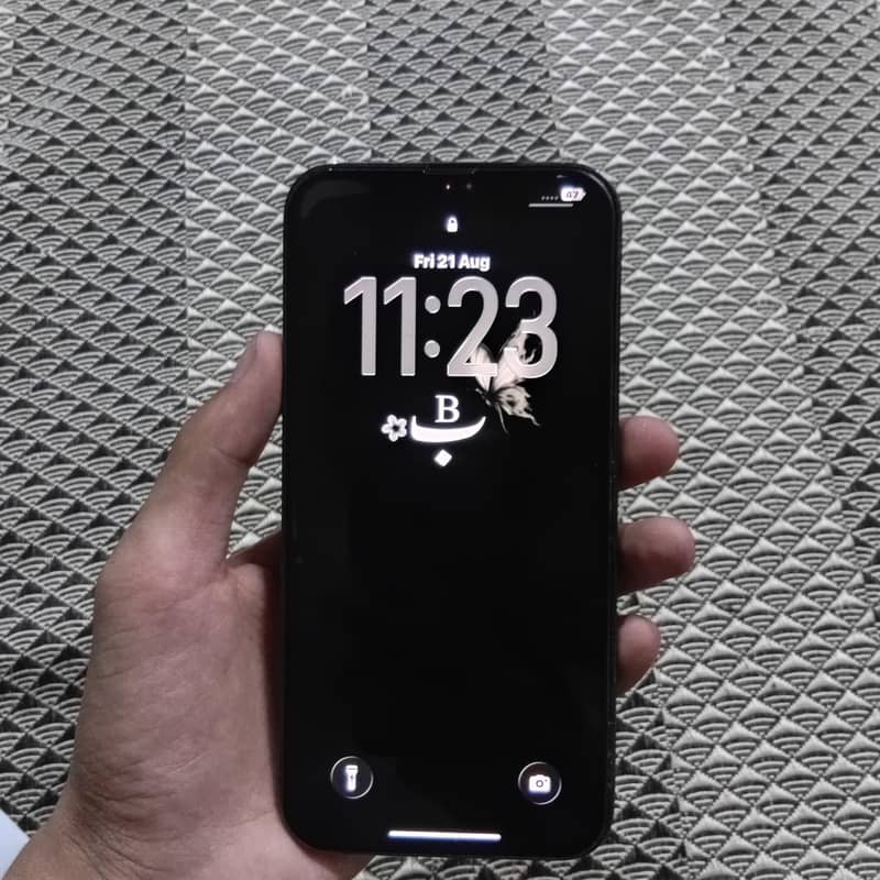 Apple iPhone 13 Pro Max 6